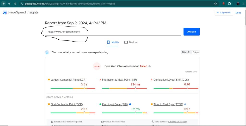Google Page Speed Insights